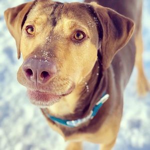 Meet your Posher, Cassie